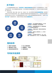 一頁(yè)盡覽，實(shí)力呈現(xiàn) 企業(yè)單頁(yè)設(shè)計(jì)與DM策劃的藝術(shù)